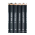 14 PCs/Set Professional Sketch Drawing Bleistift Set Hb 2B 6H 4H 2H 3B 4B 5B 6B 10B 12B 1B MALES PISTERSPIELSCHAFTEN STIPMENERY SUPPLIES